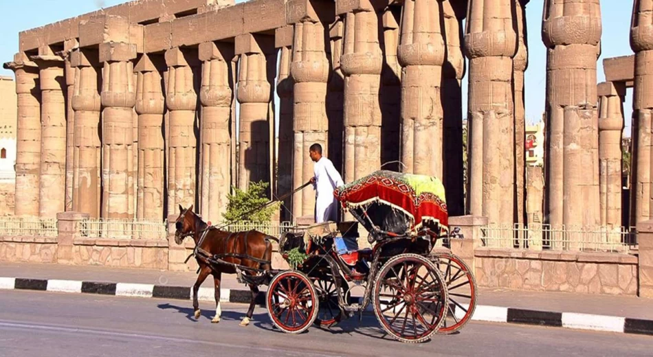 Tour por la ciudad de Luxor en carruaje tirado por caballos