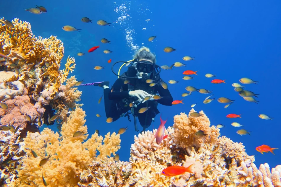 unique things to do in Hurghada