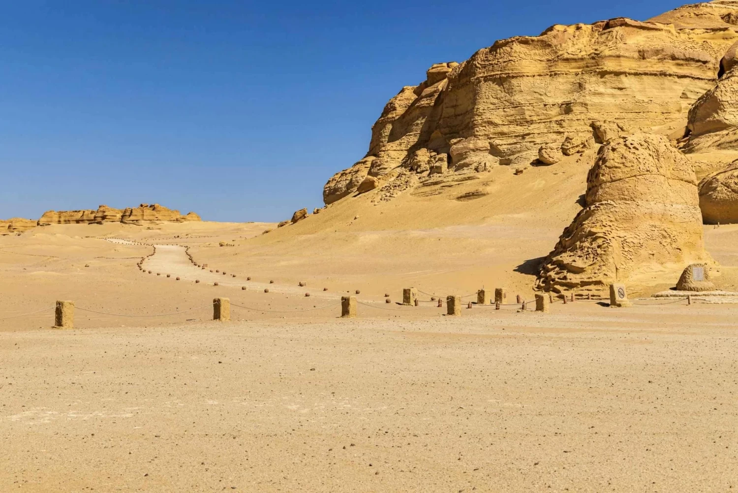 Tour de safari por el desierto de todo el día en la Oasis de Fayoum
