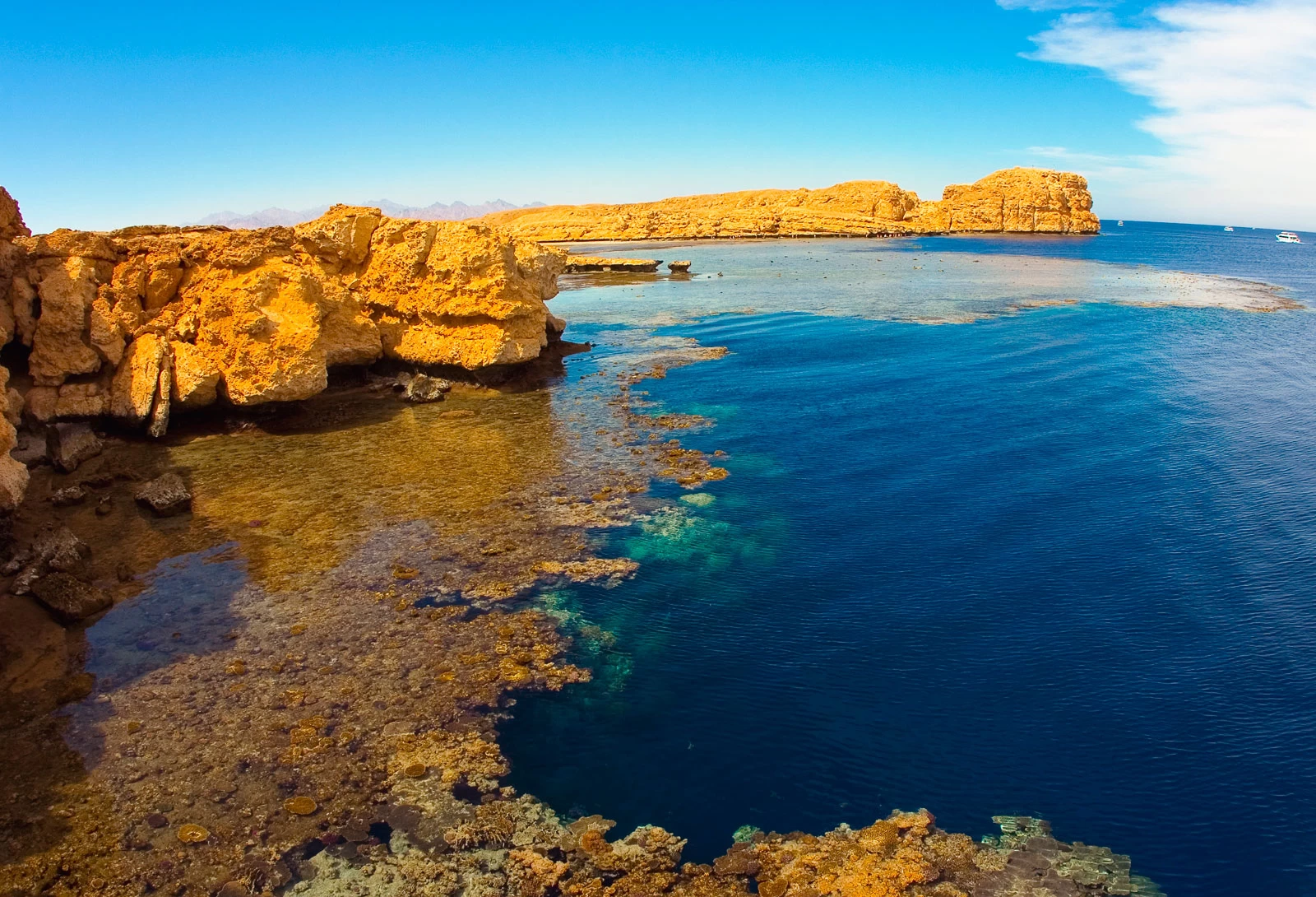 Full-day snorkeling tour to Ras Mohammed National Park from Sharm El Sheikh