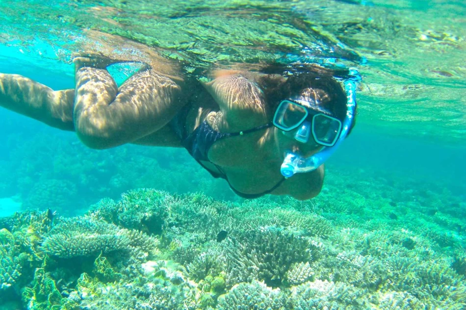 Tour di snorkeling di un'intera giornata al Parco Nazionale di Ras Mohammed da Sharm El Sheikh