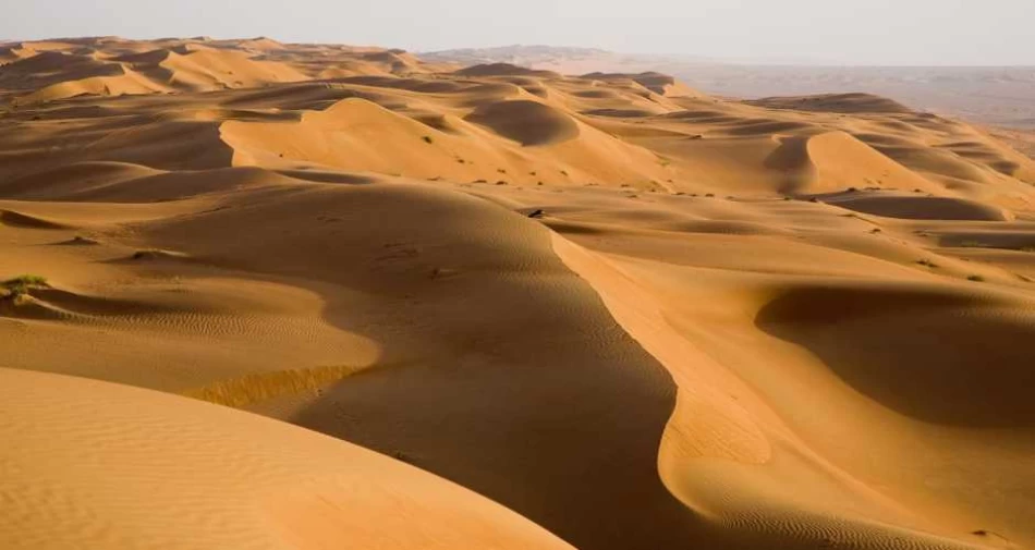 Safari nel deserto dell'oasi di Siwa
