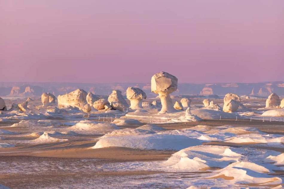 El desierto blanco