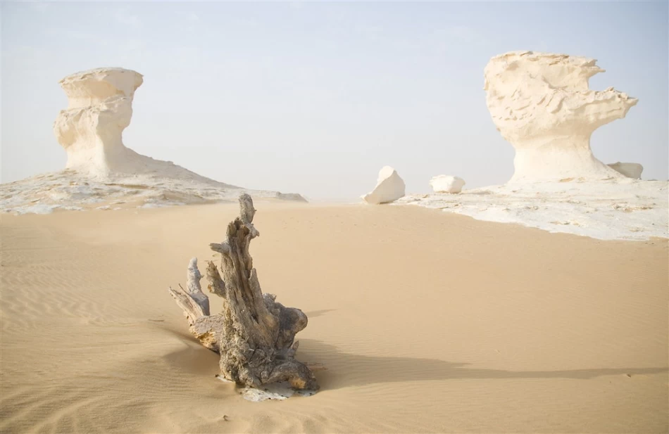 desierto blanco