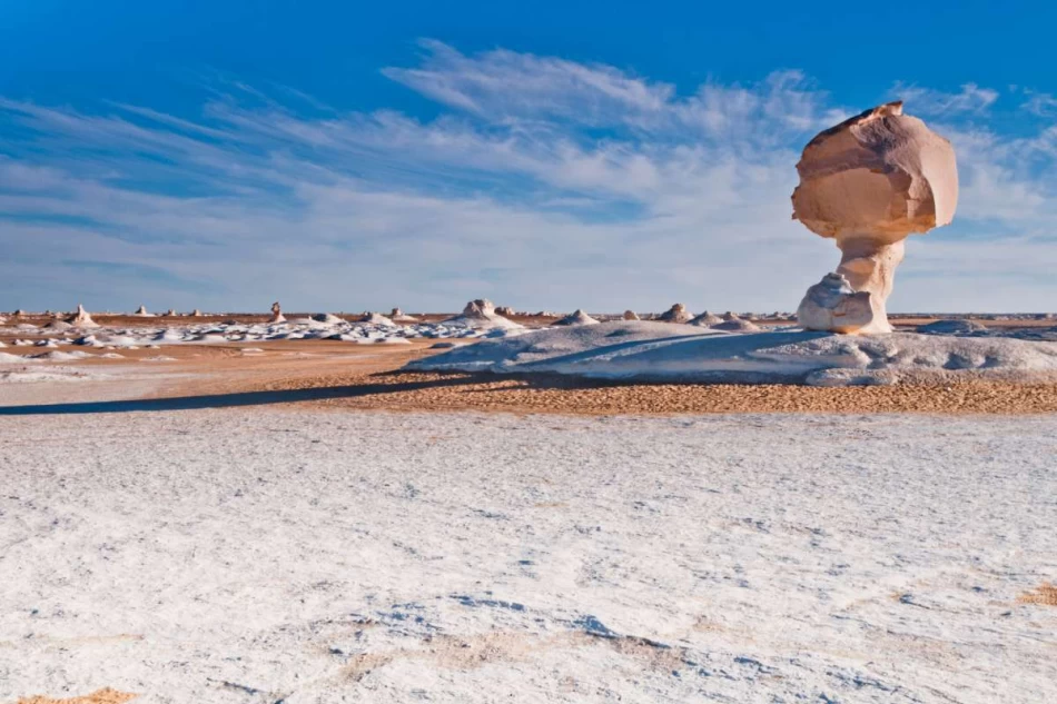 desierto blanco