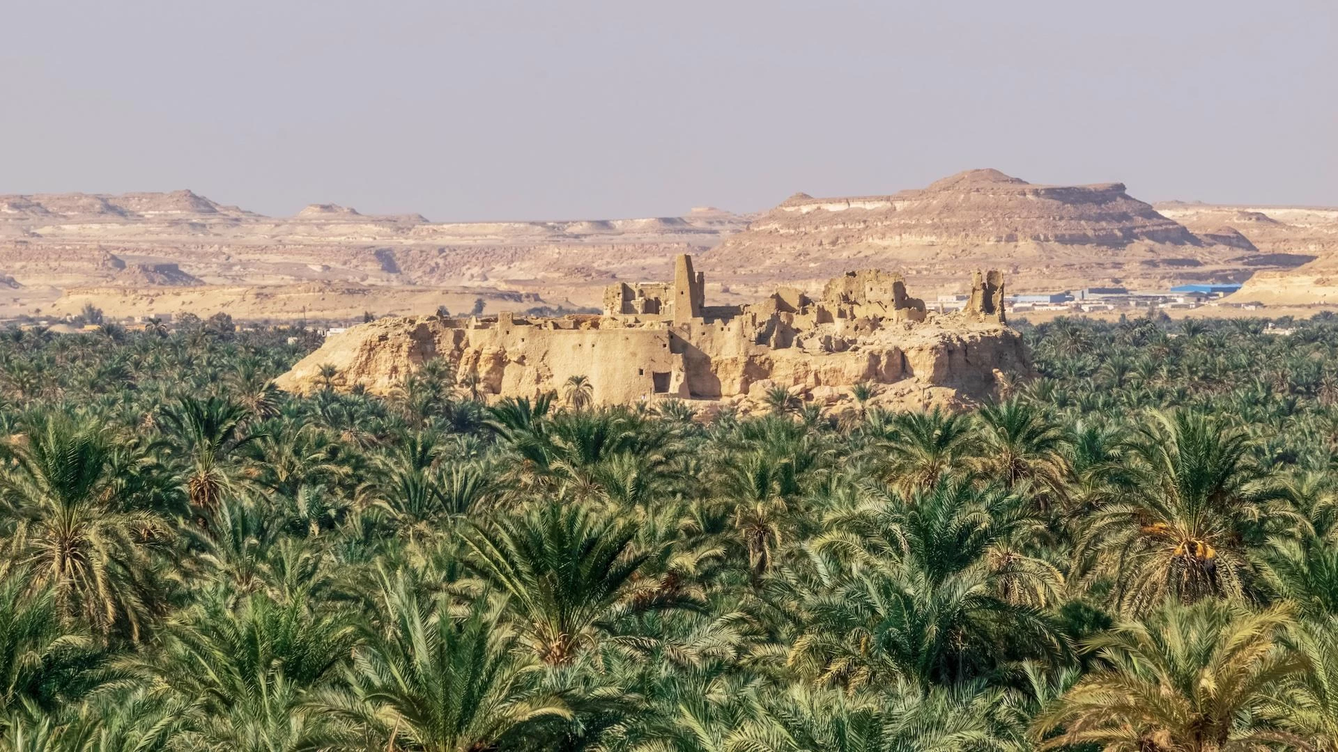 oasis de Siwa