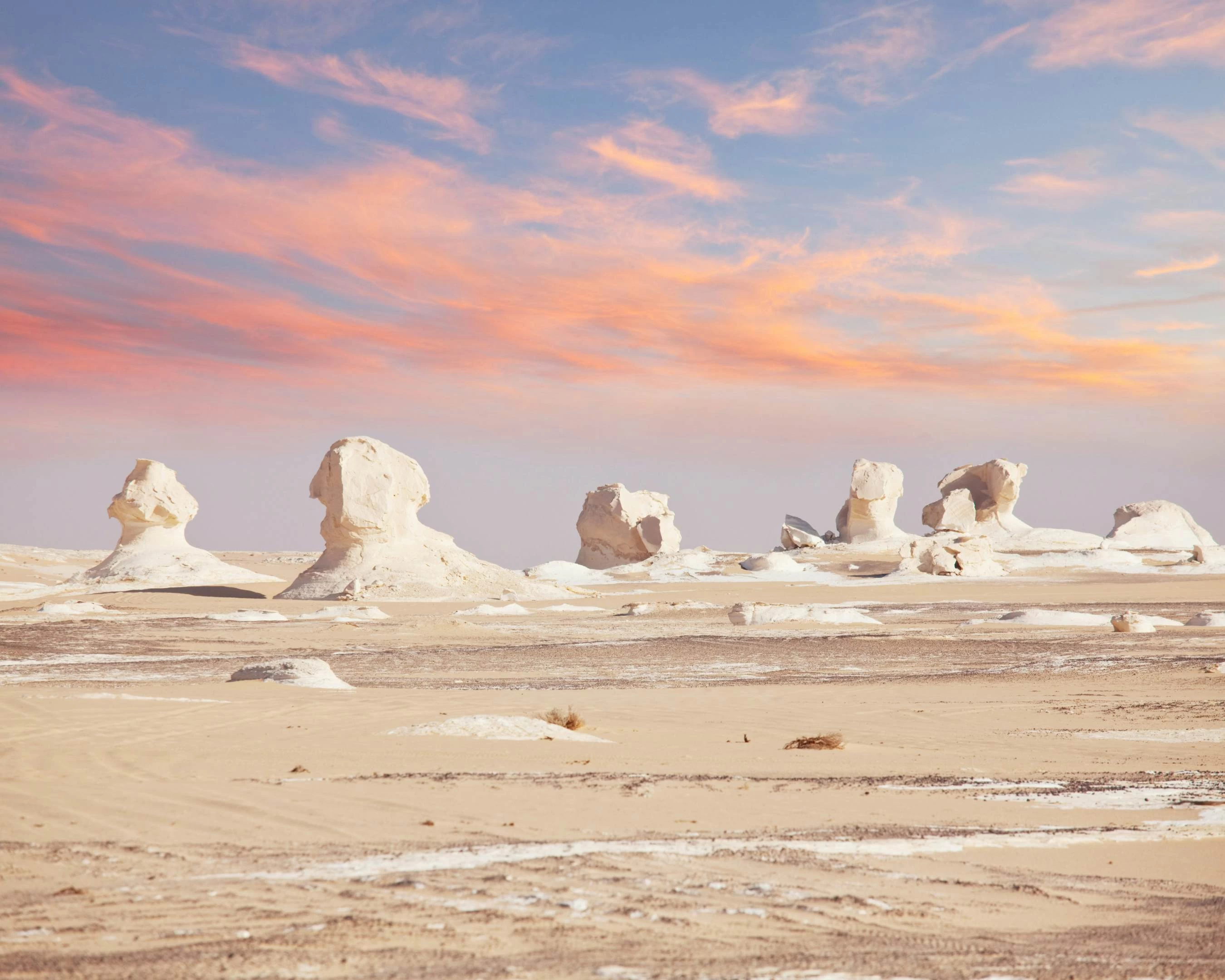 Desierto blanco
