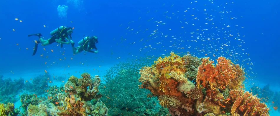 The Calm Waters of Dahab Beach