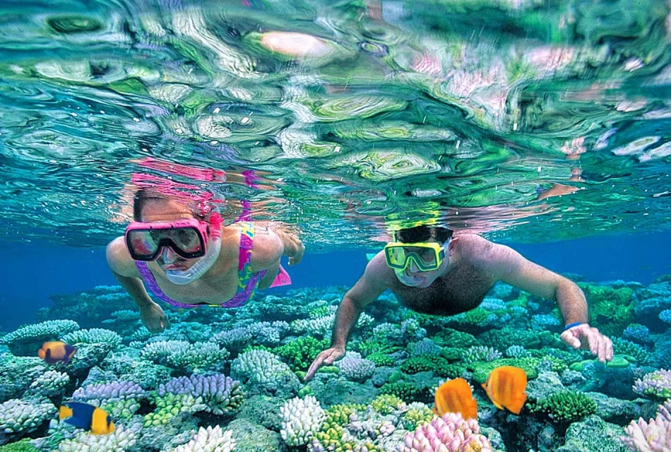 Snorkeling Adventure at Ras Mohamed National Park