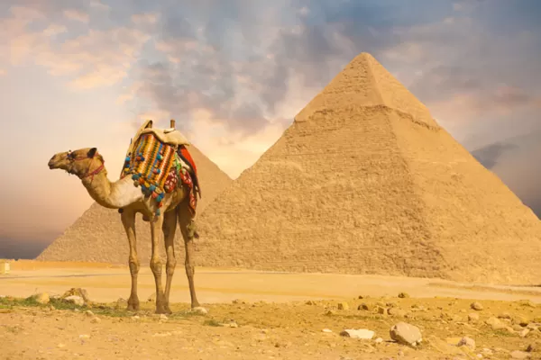 Los Mejores Tours en Egipto