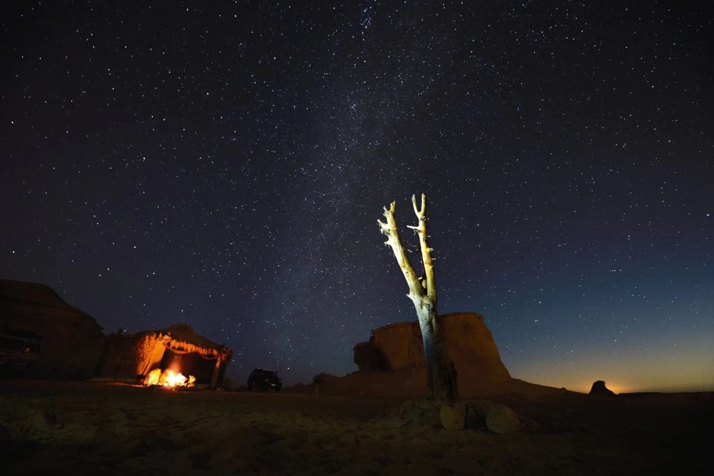 Wadi Al Hitan in el fayoum