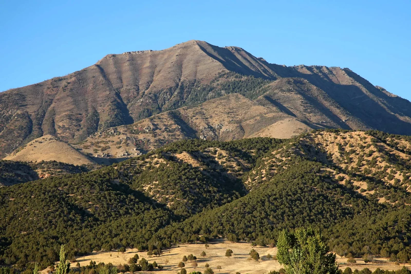 Monte Nebo en Jordania