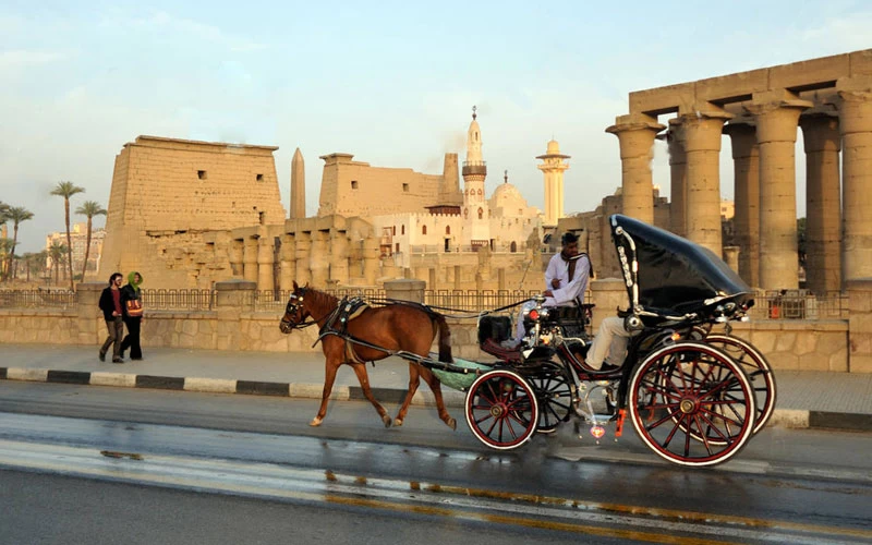 Cómo disfrutar de un carruaje de caballos en Luxor?