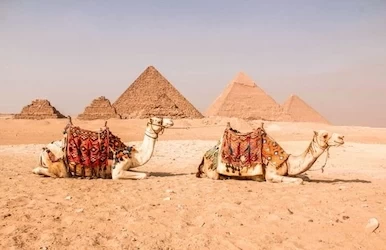 Visit the pyramids of Giza from Cairo