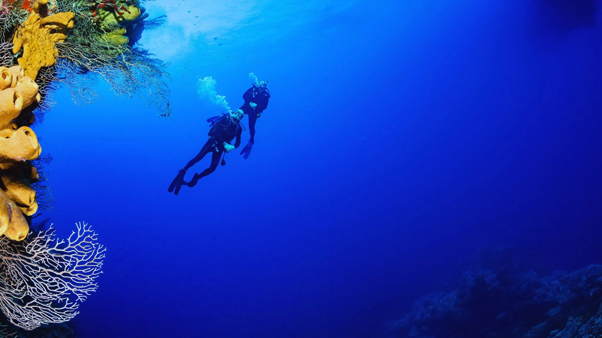 Diving in Hurghada