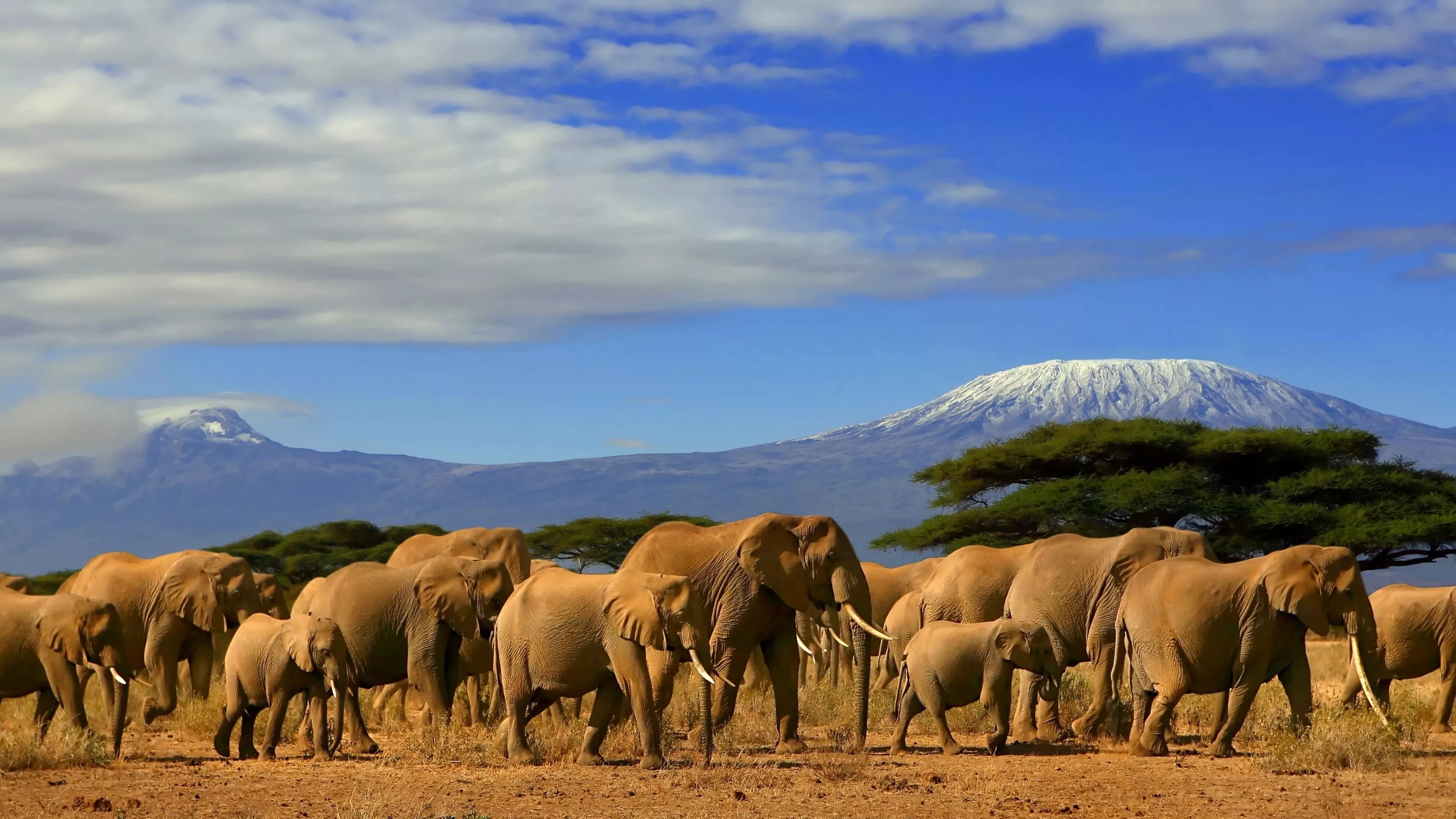 La bellezza del Kenya durante le attività da fare in Africa