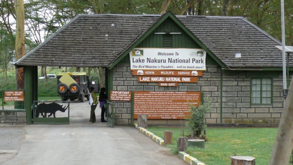 Visita il Parco Nazionale del Lago Nakuru durante i viaggi in Africa