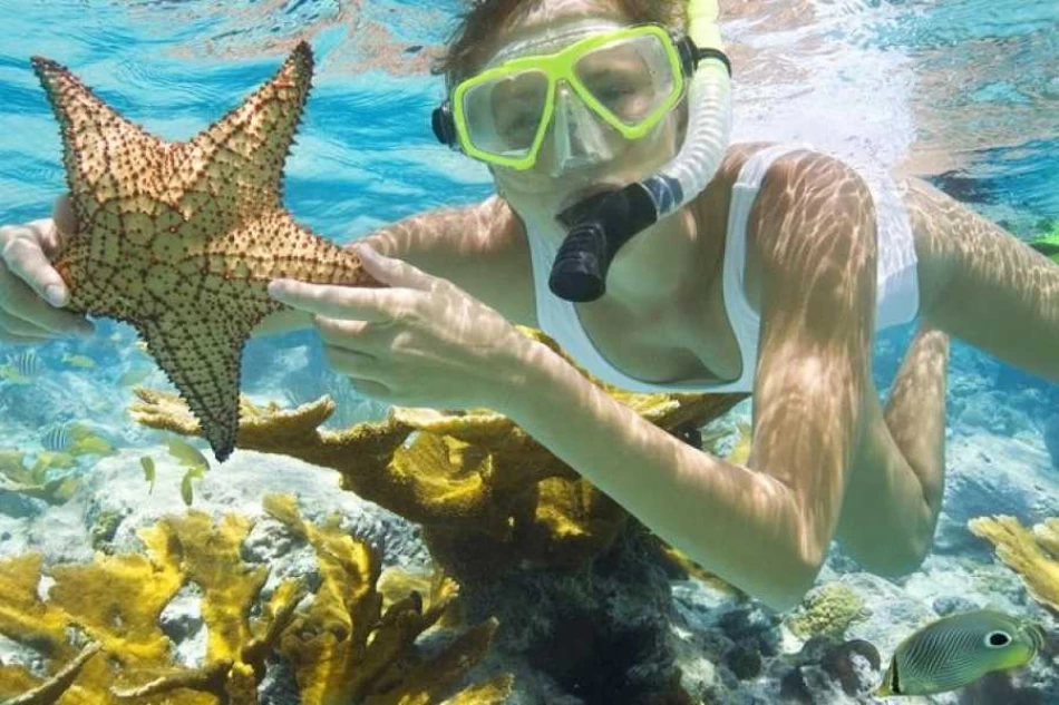 Avventura di Immersioni all’Isola di Tiran e Ras Mohammed