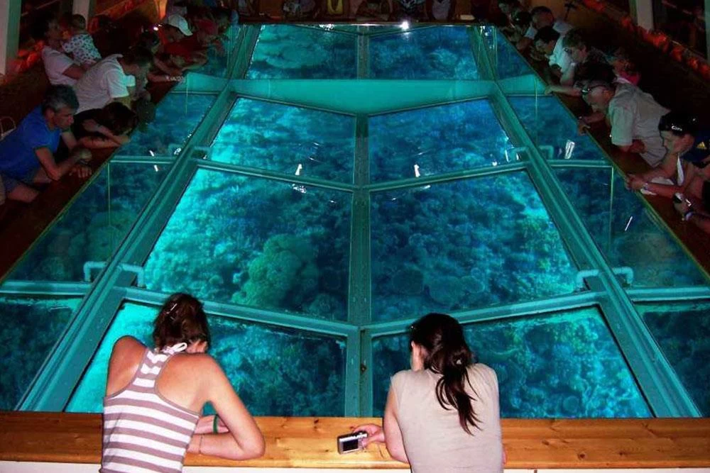 Discover The Red Sea With A Glass-Bottom Boat Trip In Sharm El Sheikh