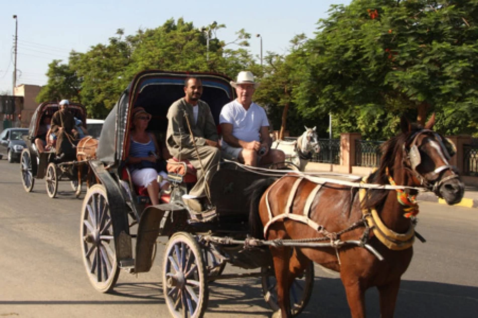 Horse with a traditional carriage in Luxor.