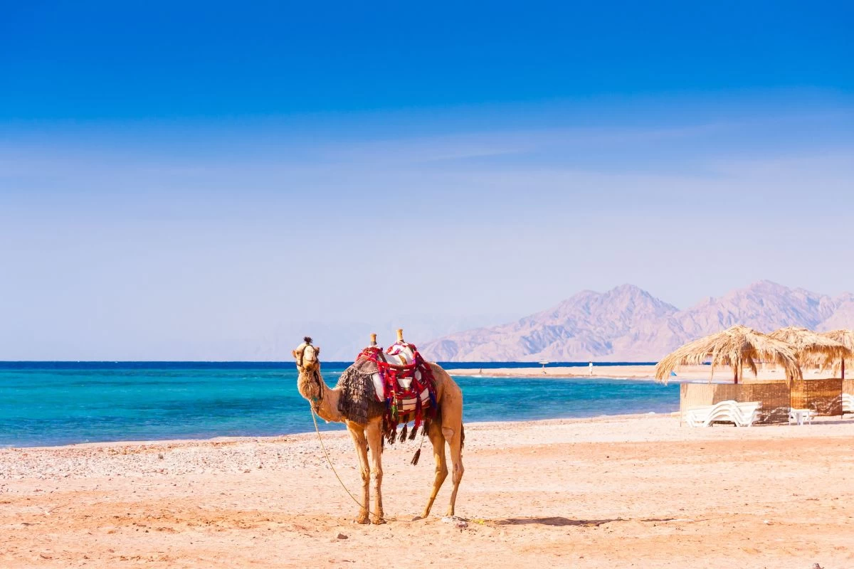 Hurghada