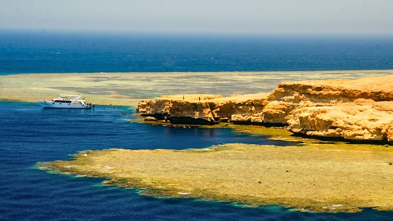 Ras Mohammed National Park Snorkeling Tour – Half Day from Sharm El Sheikh