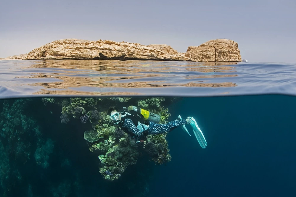 PADI Course and Red Sea Diving at Sharm El Sheikh