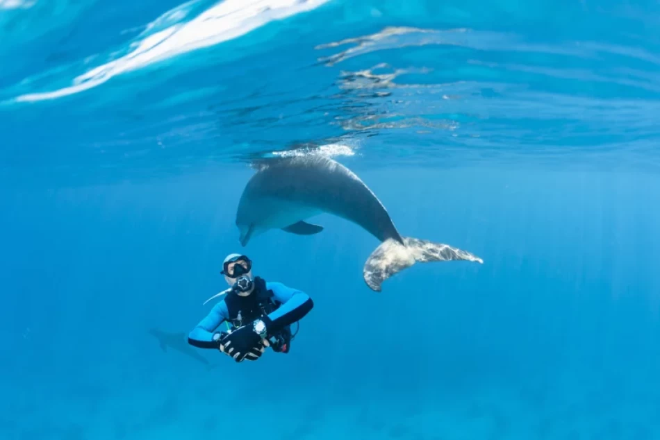 Immersioni nel Mar Rosso e Hurghada