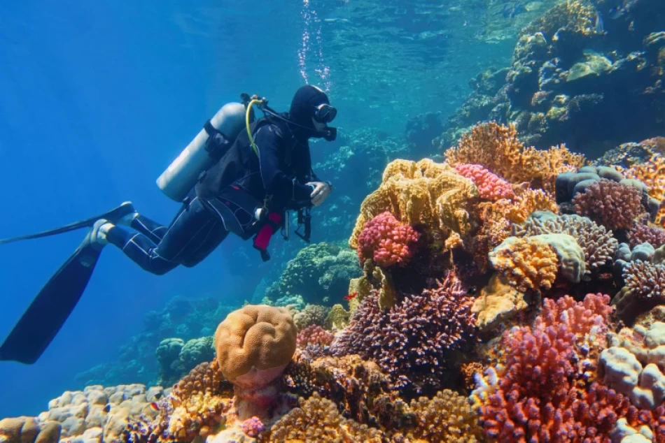 Escursione immersioni subacquee a Hurghada
