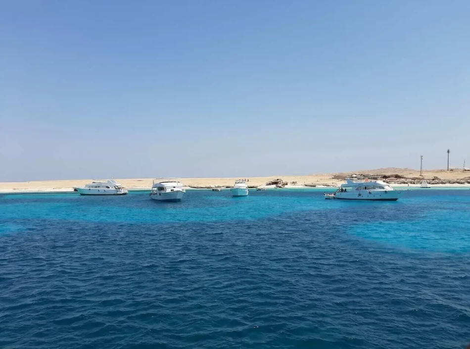 Snorkel in Giftun Island during top hurghada day trips