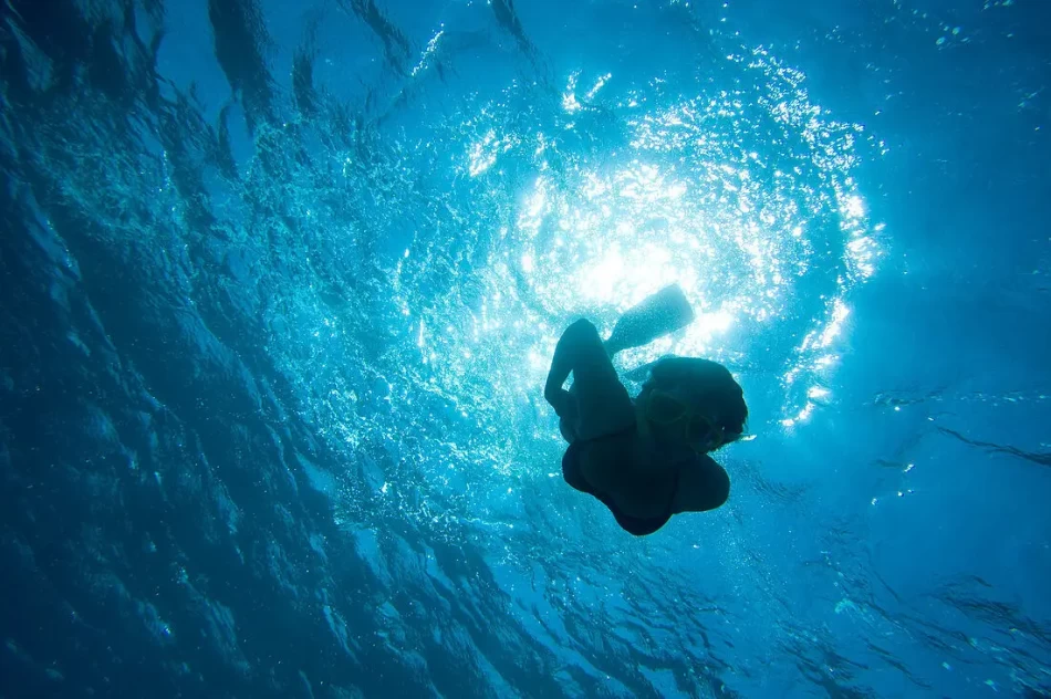 Diving excursion, possibly in the Red Sea