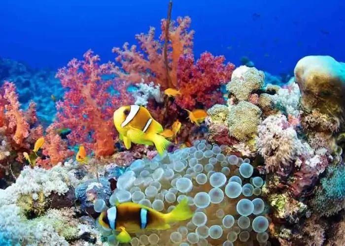 Excursiones de un Día en Hurghada