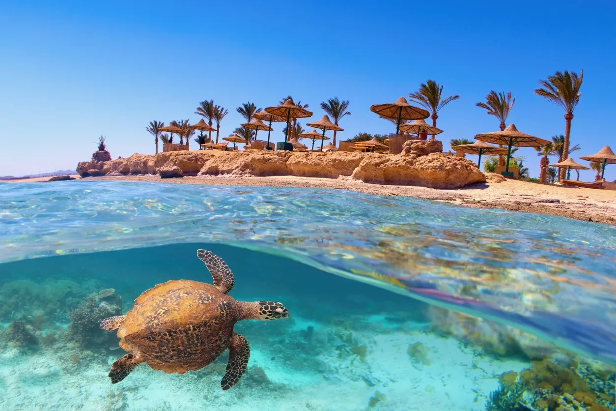 Cose da fare a Marsa Alam, Egitto