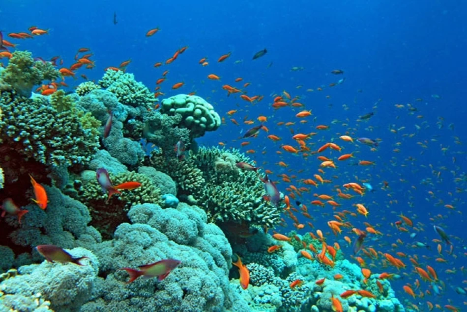 Discover the Hidden Beauty of Dahab's Three Pools