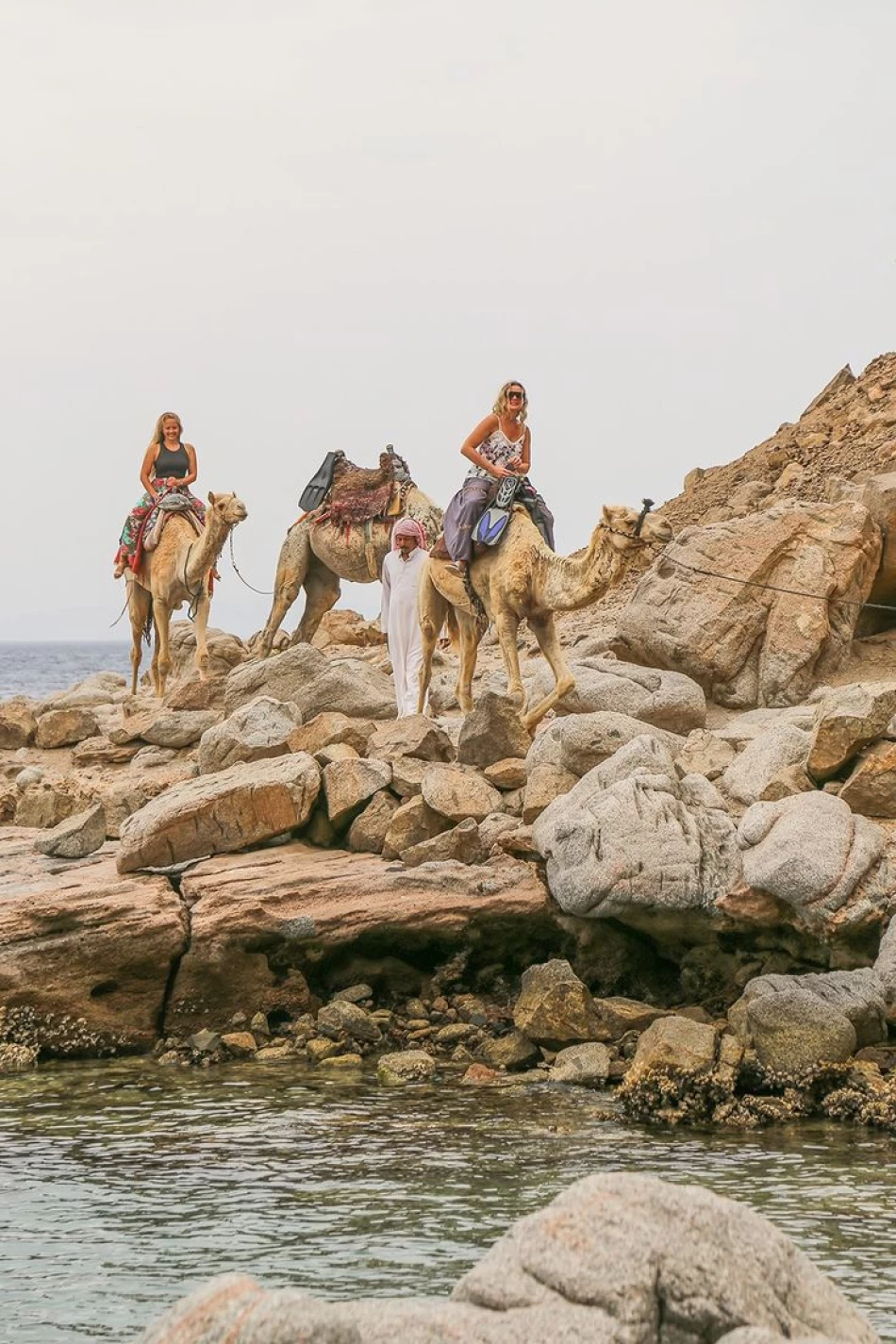 Camel Safari Adventures in Dahab’s Desert