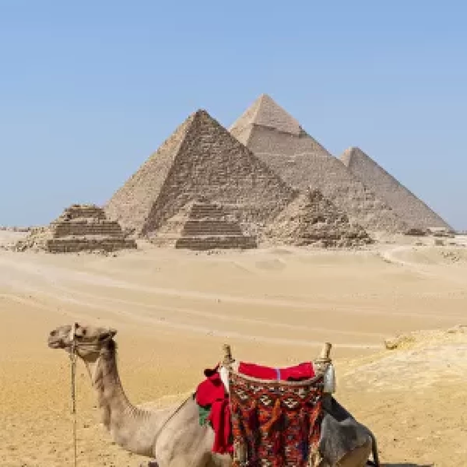 Camel Ride At Giza Pyramids