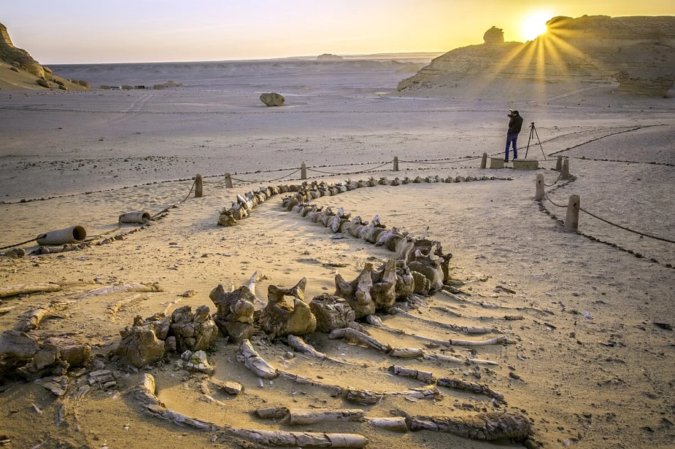 Wadi Hitan