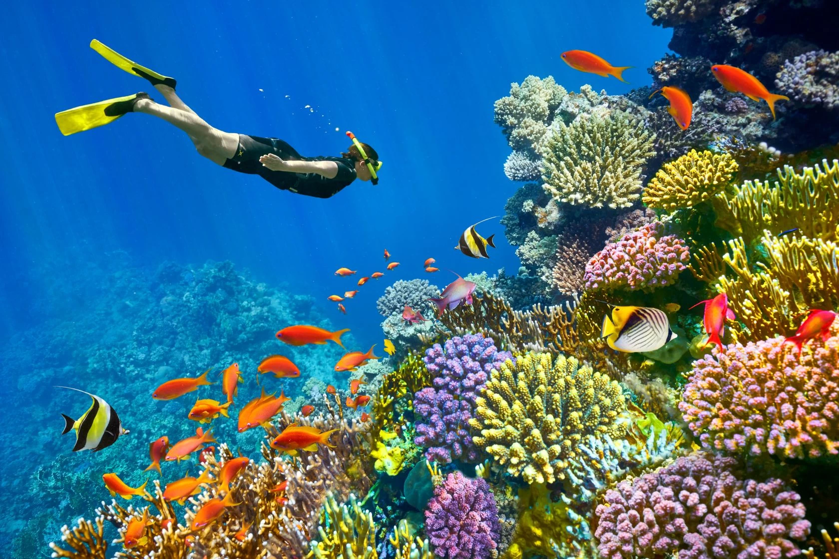 Sharm El Sheikh