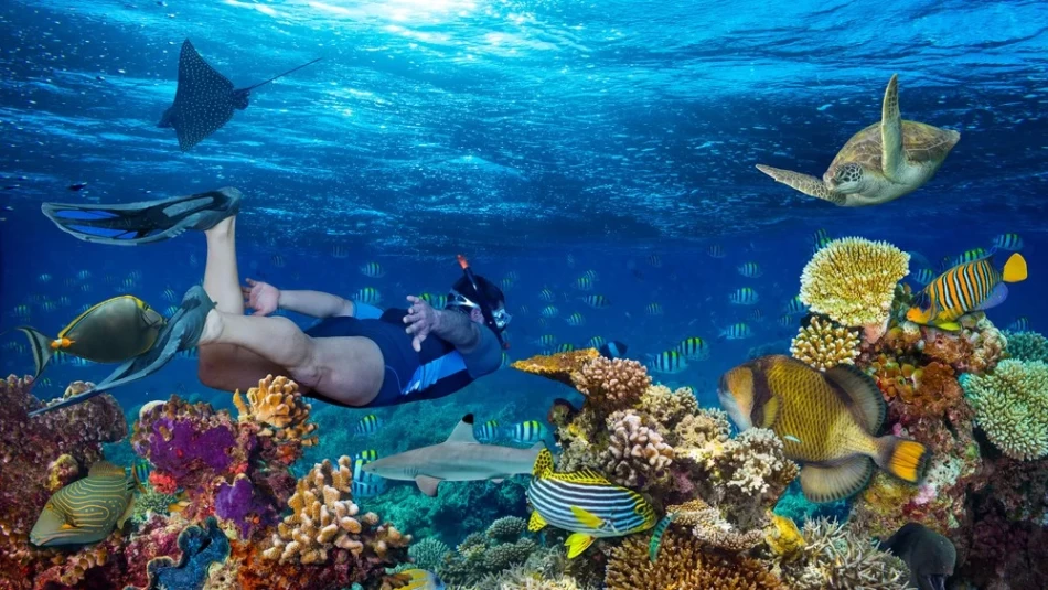 Prueba las actividades de Hurghada durante tus viajes a Hurghada