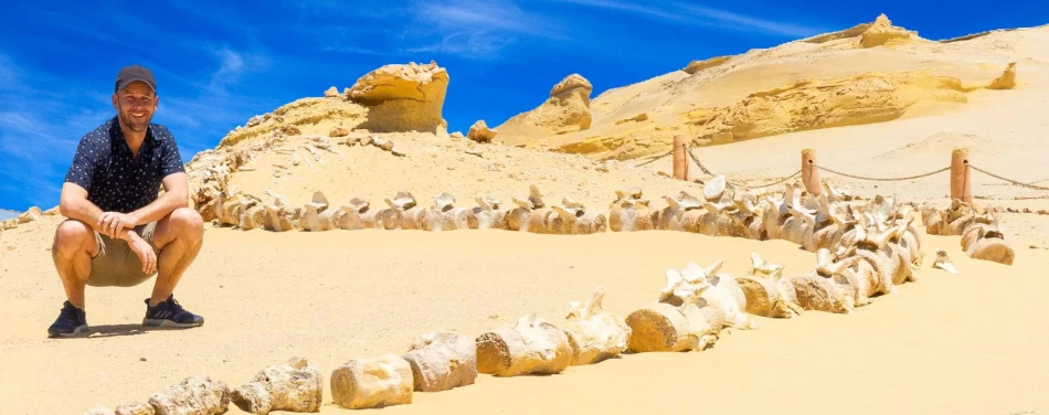 UNESCO fossil site in Egypt’s Western Desert
