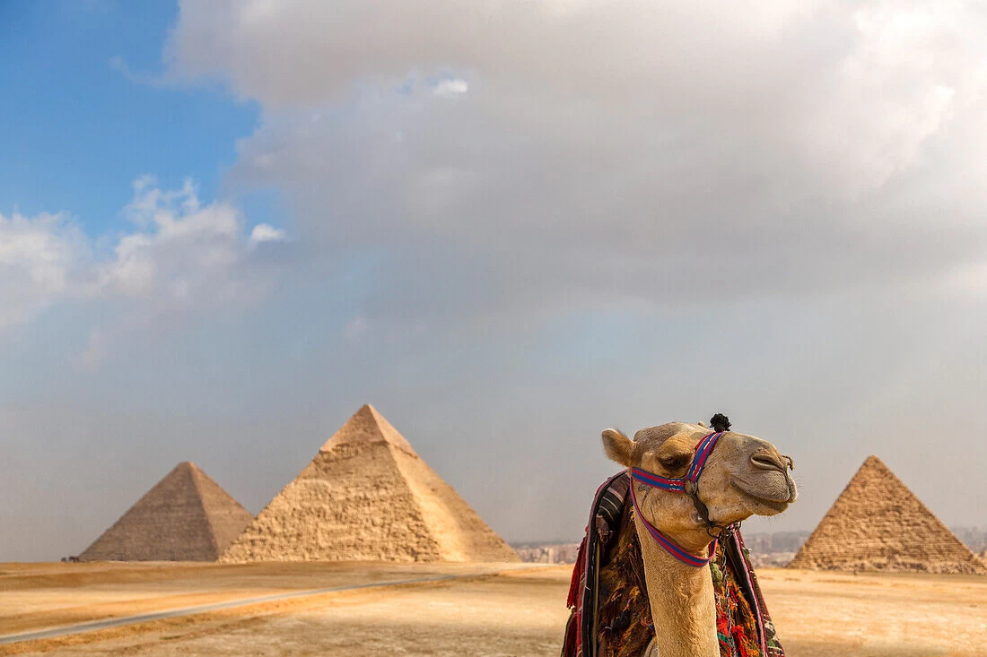 Tour nel deserto in Egitto: 8 Giorni / 7 Notti – Il Cairo, Alessandria e Siwa