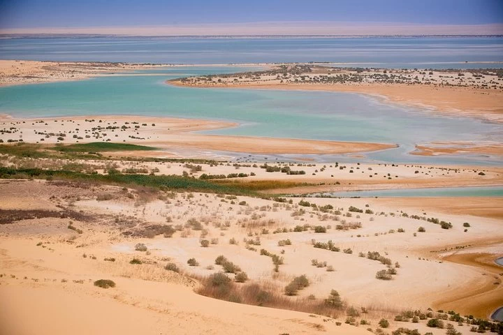 Fayoum Oasis Day trips from Cairo