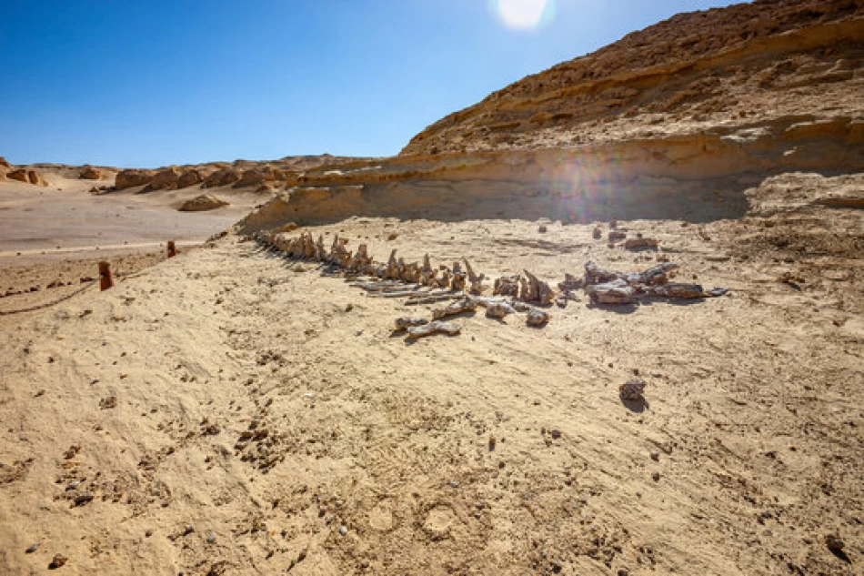 Best day trips from Cairo