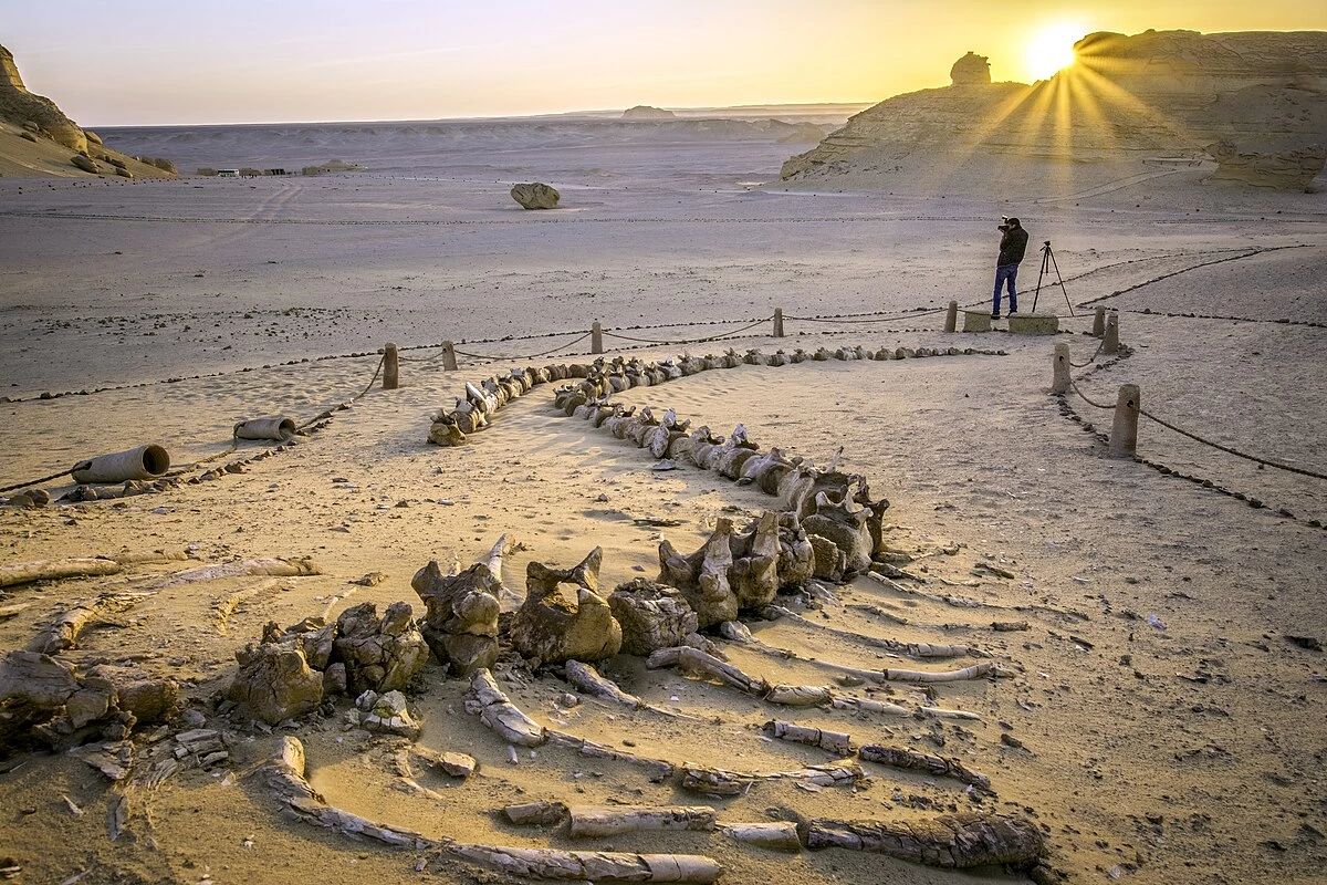 Cairo day trips