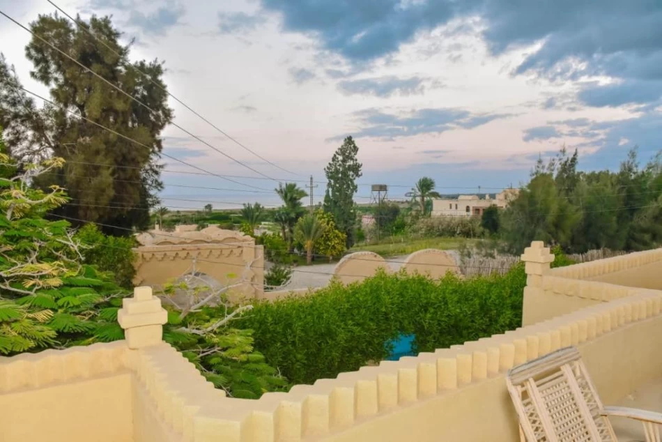 Day Trip from Cairo to Tunis Village