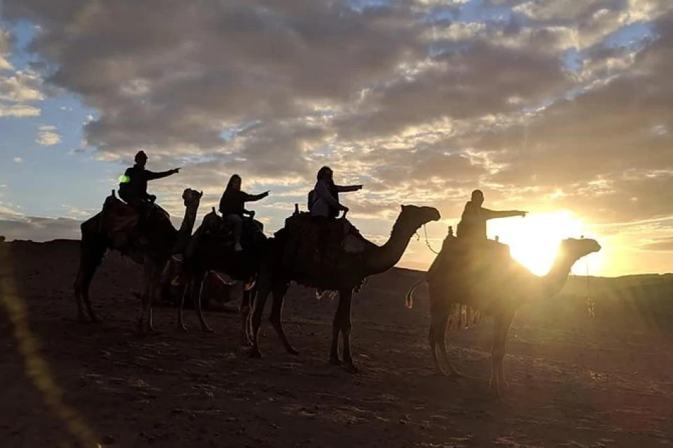 Miglior giro in cammello al tramonto a Giza