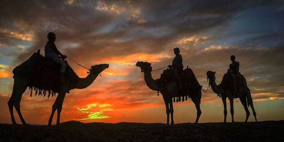 Tour giornalieri al Cairo