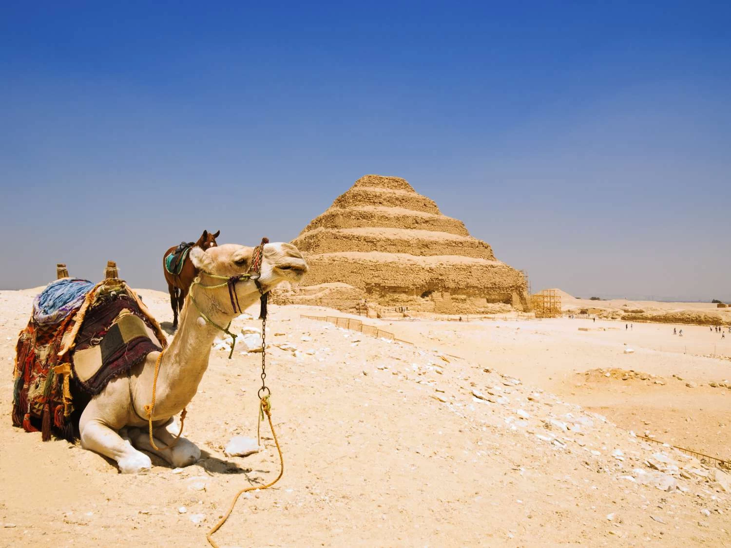 Discover Saqqara – Full Day Tour From Cairo