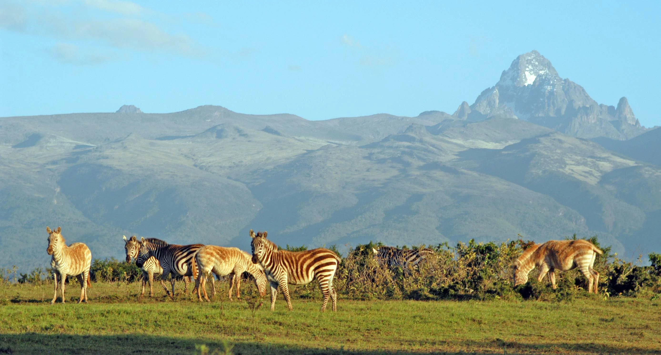 Perché i turisti visitano il Kenya?