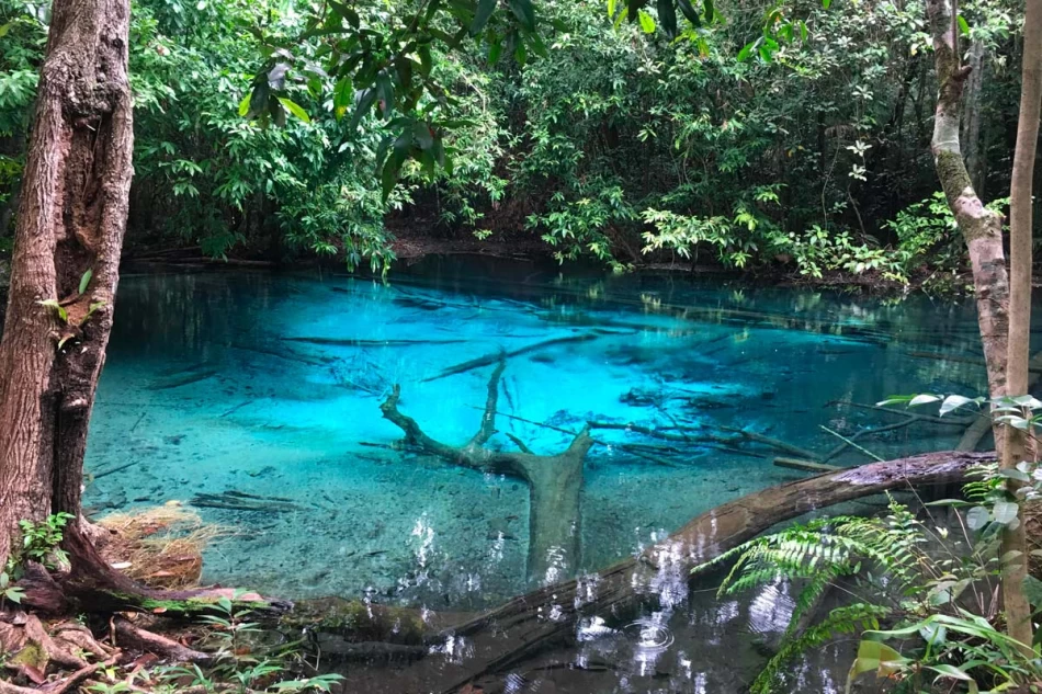 Krabi jungle packages